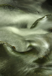 Freshwater 2 portfolio