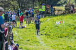 The Finish-1334