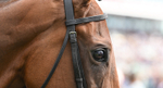 220826-181 Mr Hollywood