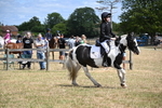 WJ6_5371