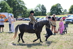 WJ6_7796
