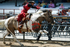 3HRodeo7-19-25_CFD_01547_