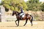 SBM_001397
