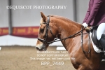 BPP_7449