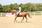 SBM_010084