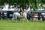 SBM_13861