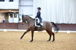 SBM_002631
