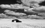 Cranborne Chase Barn B/W