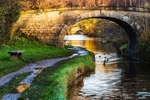 Bridge 24 (Snape's), Macclesfield Canal (3)