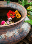 Floral-2