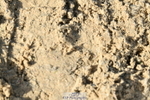 251004A-102306-00430