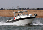140504 MAHI MAHI SEAFOX WT7A1815