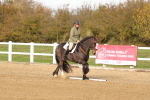 SBM_000941