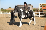 SBM_01179