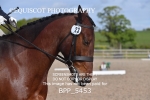 BPP_5453
