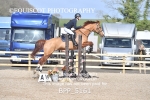 BPP_5161