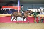 SBM_09606