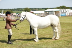 SBM_07141
