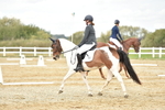 SBM_002534