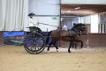 SBM_000151