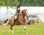 Dunblane show-470