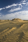 Sandy shadows