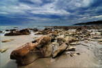 Motunau Beach