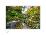 01 9x12 2022-545C Foleys Bridge Shimna River Tullymore Forest Co Down