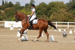 SBM_022532