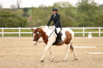 SBM_006901