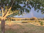 After The Storm, Sth Africa