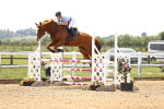 SBM_004619