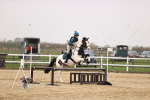 SBM_002262