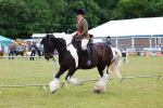 SBM_02647
