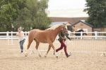 SBM_03182