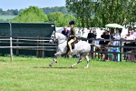 SBM_13893