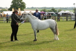 SBM_00559