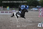 BPP_7733