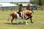 SBM_05264