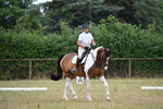 WJ6_9864