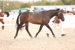 SBM_16377