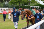 250725-Graham Lee IJF Stable Staff Stakes-B-3025