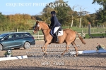 BPP_7999