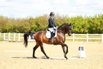SBM_000440