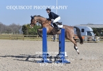 BPP_7439