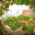 Molecular Garden