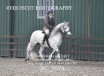 CLASS 1 Nursery Novice Working Hunter portfolio