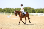 SBM_010239