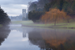 Abbey Through the Mist