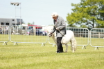 SBM_01985